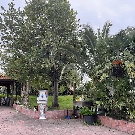 24 * Ercolano
